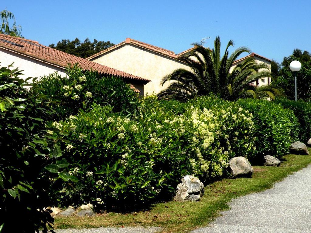 Residence De Tourisme Marina Corsa Ghisonaccia Exterior photo